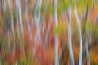 USA, Utah, Garden City. Blur of Aspen and maple on hillsides just east of town Art Print